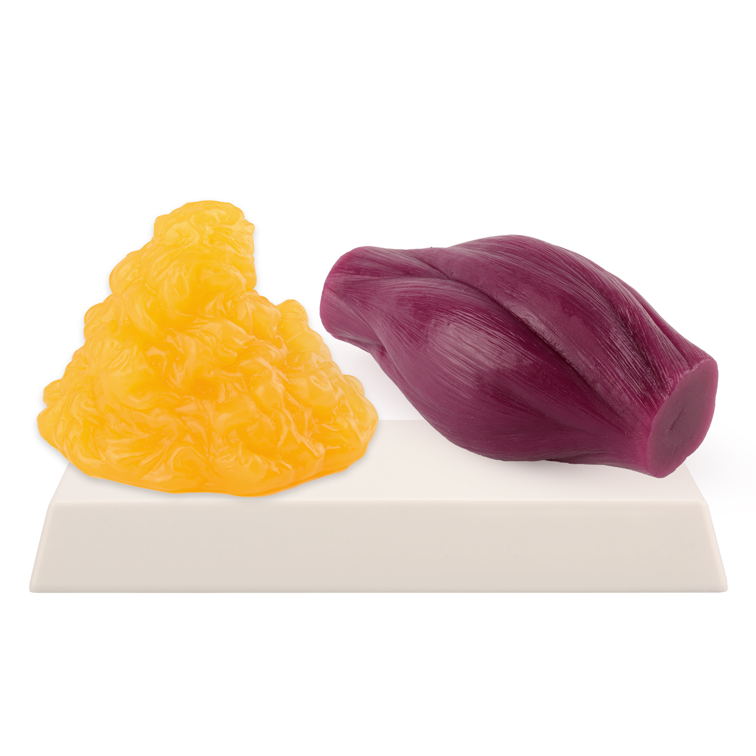 1lb Fat Replica & Muscle to Ke - Nutrition And Fitness recensione e prezzo