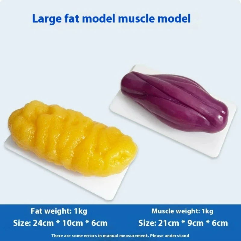 Human Muscle and Fat Replicas  - Nutrition For Health Fitness & Sport Melvin Williams recensione e prezzo