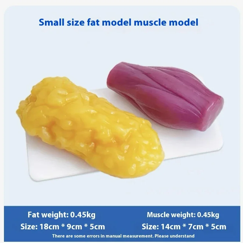 Human Muscle and Fat Replicas  - Nutrition For Health Fitness & Sport Melvin Williams recensione e prezzo
